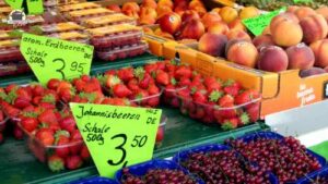 Schalen mit frischen Erdbeeren, Himbeeren und Johannisbeeren