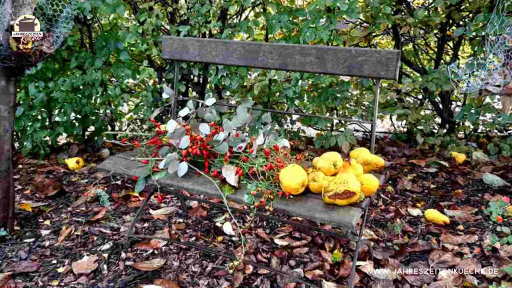 Auf einer verwitterten Gartenbank liegen Quitten und Hagebutten