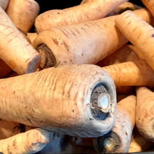 frische Pastinaken liegen aufeinander