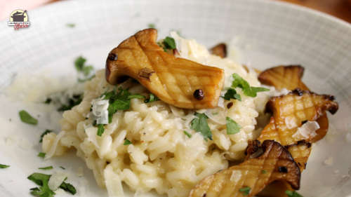 Risotto mit gebratenen Kräuterseitlingen ist auf einem Teller angerichtet.