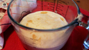 In einer Glaschüssel befindet sich ein aufgegangener Vorteig