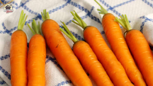 Gewaschene Karotten liegen auf einem blau-weißen Geschirrtuch