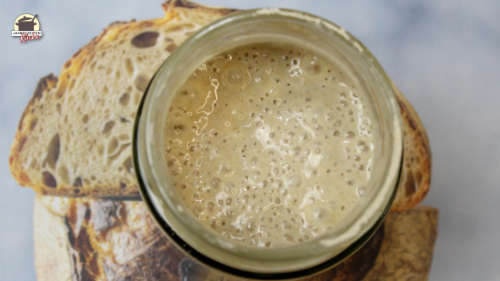 Ein Glas mit vollaktivem Sauerteig, um Brot selber zu backen