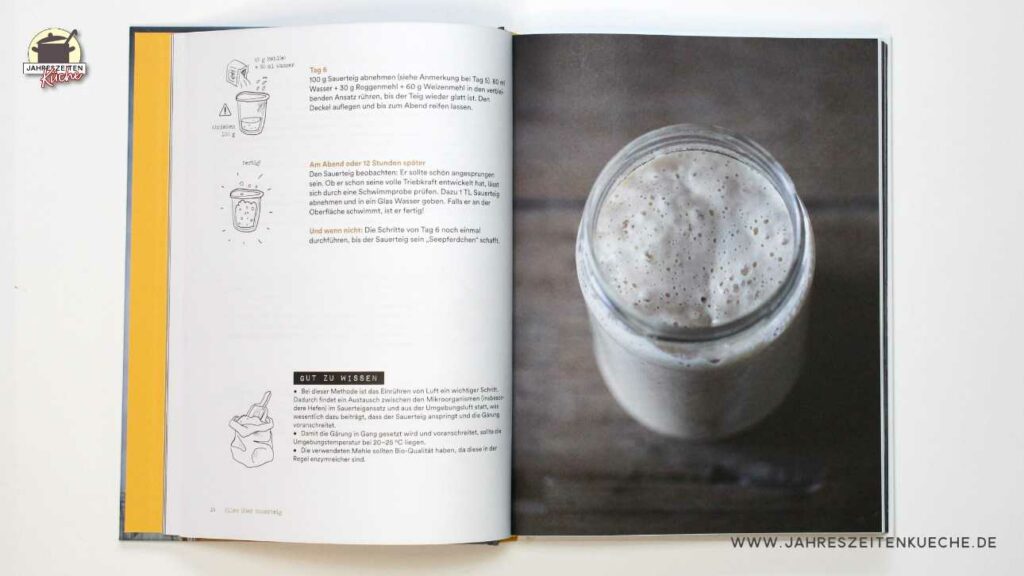 Seite aus dem Buch "Sauerteig" mit einer Anleitung, um perfekten Sauerteig herzustellen.