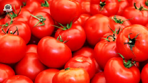 Viele rote Tomaten