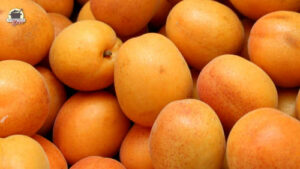 Viele Aprikosen liegen nebeneinander.