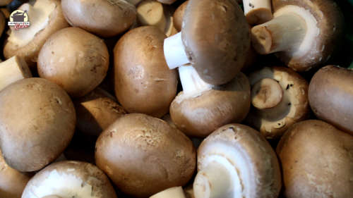 Viele Champignons liegen nebeneinander