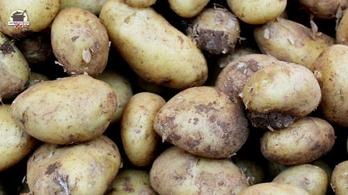 Viele Kartoffeln übereinander