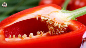 eine halbe Paprikaschote