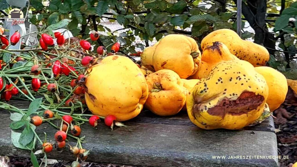 Quitten und Hagebutten liegen aus einem Holzbrett.