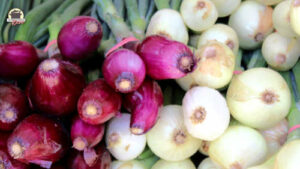 Rote und weiße Zwiebeln liegen gestapelt nebeneinander