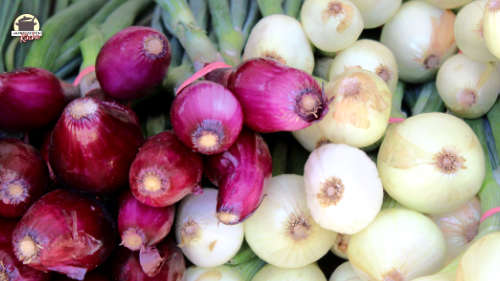 Rote und weiße Zwiebeln liegen gestapelt nebeneinander